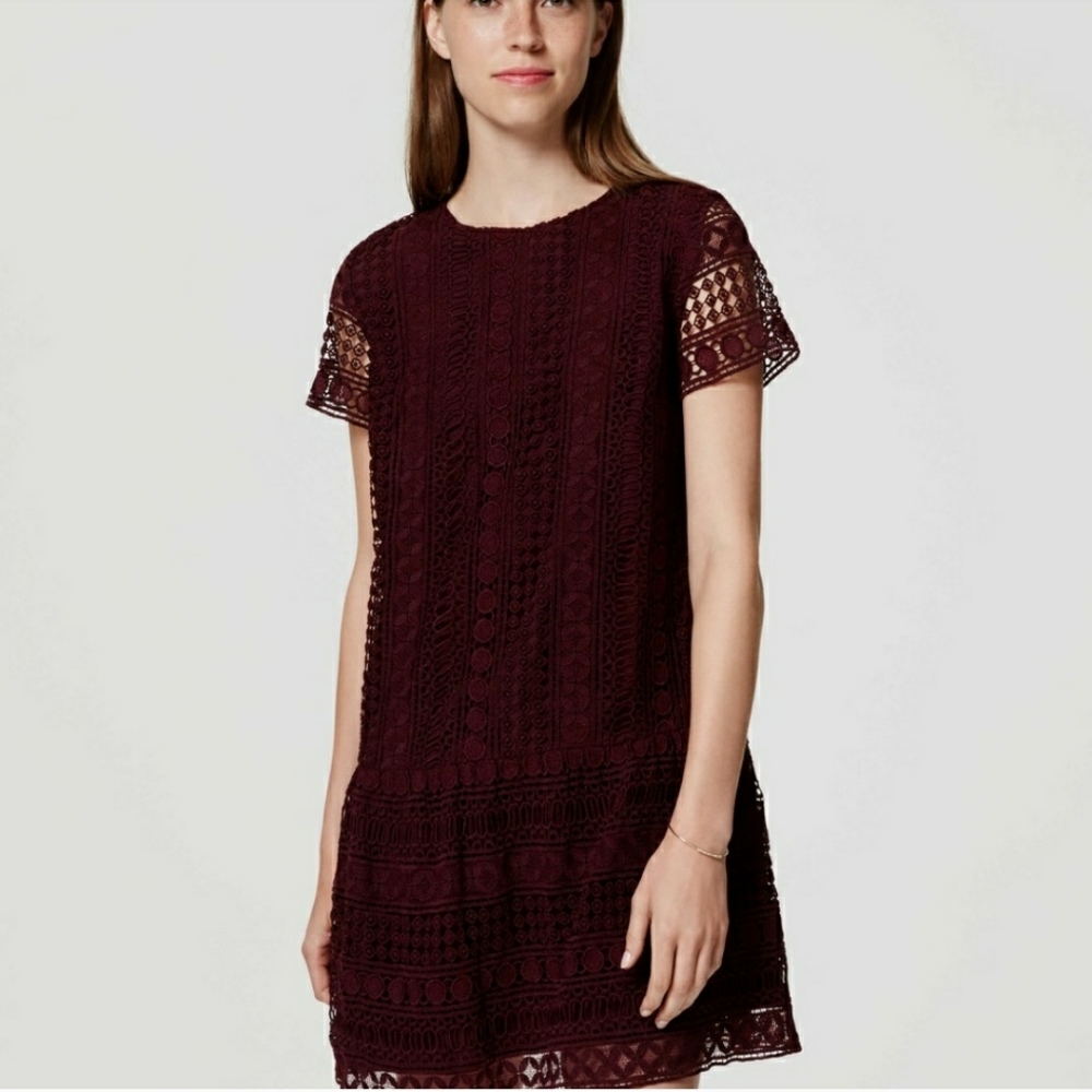 Loft Lace Shift Dress